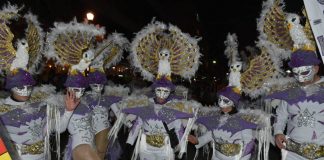 Министерството за култура ги намали парите за струмичкиот карневал – организаторите ги помaгаат учесниците