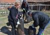 Општинарите од Конче одговорија на предизвикот на младите од Дедино – Го чистеа отпадот во селото Габревци