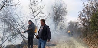 Кризниот штаб и ВД Градоначалникот на Ново Село се вклучија во гаснење на пожарот кај Бајково