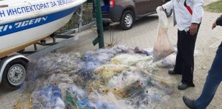 Откриени 123 мрежи за лов на риба во водите на Дојранското езеро а кај угостители риба без документи за потекло
