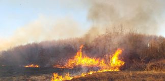 Кај Ѓавато запалил оган на нива и се задушил, во Ораовица гореле 120 тополи, ДЗС со апел – огнови на отворено не !