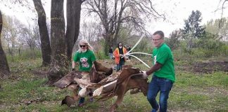 ,,Не биди ѓубре’’ – Еко акции во Дојран и Валандово во кои се вклучија и градоначалниците