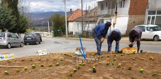 Јавните површини во Конче се оплеменуваат со цвеќиња и зеленило, за нив ќе се грижи ЈПКД ,,Лакавица”