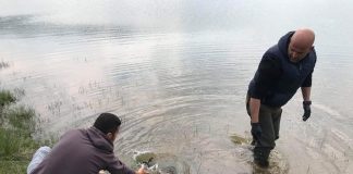 Фото – ,,Паљурци” порибен со 250 килограми крап, парчињата и до 5 кг донации од групата ,,Корморани”