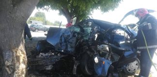 Загина возач на автомобил кој излетал пред Босилово и се забил во дрво