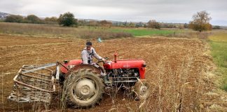 Само 14 фармери од Југоистокот добија поддршка од државата до 20 000 евра за млад земјоделец