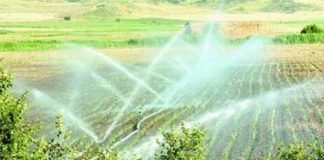 Ќе се гради систем за наводнување на областа Чаушица кај Дрвош и Хамзали општина Босилово