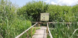 Моноспитовското Блато со европски пари доби безбедни патеки и набљудувачници за посета и истражување на растителниот и животински свет