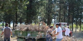 Градоначалникот Сашо Поцков го чистеше Армискиот парк и ги повика сограѓаните да дадат свој придонес за чиста и зелена Гевгелија