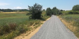 Преку Центарот за развој на Југоистокот, општина Конче тампонираше полски патишта за полесен пристап до нивите