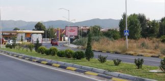 Струмица ќе постави зелен ѕид со разновидни растенија на влезот во градот, ќе биде долг 200 а висок 3 метри