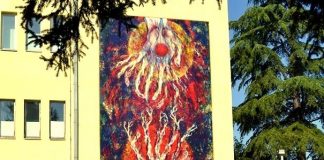 ,,Лузна’’ на Домот на АРМ во Струмица – уметничко дело од Пијанманов кое алармира за значењето на природата !