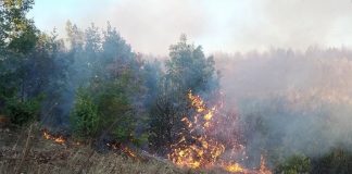По вчерашниот кај Гевгелија, денес пожари во радовишко и валандовско – надлежните апелираат на внимателност без палење огнови на отворено