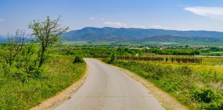 До јануари патот Стојаково – Селемли треба да биде готов а за 2 месеци во Селемли асфалт на пет улици, Богданци ги склучи договорите за изведба