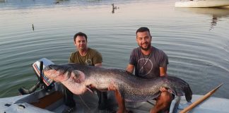 Школски го уловивме капиталецот, вели Полизовски кој со Христоманов од Дојранското езеро уловија сом од 50 килограми