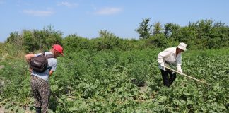 Со поддршка на германската влада, во земјава ќе се воведува електронски систем за пријавување на сезонски работници
