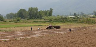 Објавен оглас за доделување државно земјоделско земјиште во Струмица и Гевгелија  за рок од 15 до 70 години