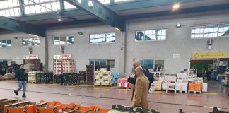 МЗШВ најави изградба на откупно дистрибутивен центар за зеленчук во Струмица преку проект на Светска Банка