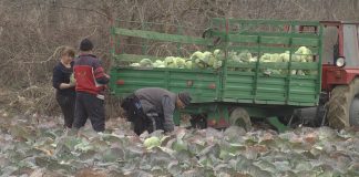 Почна повратот на персоналниот данок на земјоделците кои лани имале приходи од продажба, ќе се исплатат 80 милиони денари