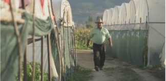 Центарот за развој на Југоистокот објави видеа за примена на современи агроеколошки мерки во градинарството и овоштарството