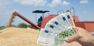 Формирањето техничка Влада нема да ја закочи исплатата на субвенциите, вели министерот за земјоделство Димковски