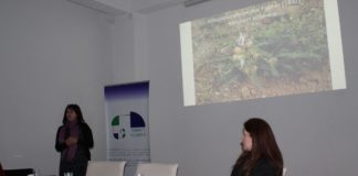 Полимат 13 од Богданци со инфо средба за заштита на Меурест козинец, кое го има во само во Богданци а е загрозено