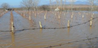 Жителите од Добрашинци, Висока и Нова Маала во општина Василево, ќе бидат обештетени од ланското јунско невреме