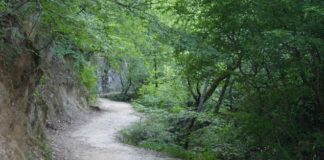 ЕД Планетум во публикација ги промовираше природните вредности на 4 патеки за развој на еко туризмот во Струмица