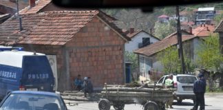 Радовишката полиција поднесе кривични против 12 лица за пустошење на шума оти бесправно сечеле дрва на Плачковица