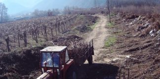 Општина Ново Село со сензорни камери ги лови несовесните граѓани кои фрлаат отпад по исчистените депонии