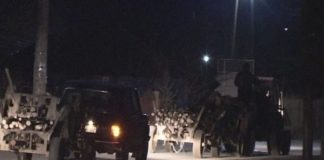 Масовно се сече шумата над Радовиш, Конзулов побара повеќе контроли од шумската полиција и од чуварите на ШС Плачковица