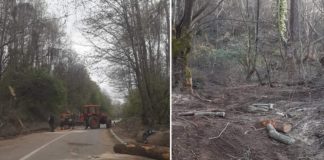 Да престане уништувањето на Беласица и да се прогласи за национален парк, активисти од Струмичко со онлајн петиција