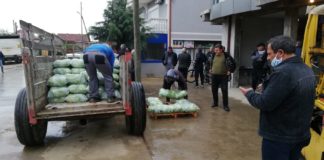 МЗШВ подготви интервентна мерка за покривање на загубите на земјоделците од лошиот пласман на зелката