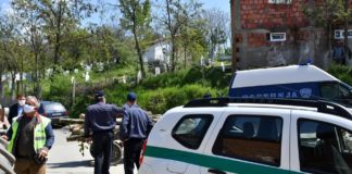 Фатени нови дрвокрадци во Радовишко, запленети 4 запрежни коли и околу 12 кубика дабово дрво