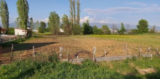 Се продава плац во индустриска зона Василево струмичко со површина од 1900 m2