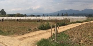 Преку Центарот за развој на Југоистокот, санација на полски патишта во општините Богданци, Гевгелија, Босилово и Ново Село