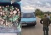 Полицијата од Радовиш фати дрвокрадец како превезува огревни дабови дрва во товарно возило без документи