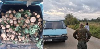 Полицијата од Радовиш фати дрвокрадец како превезува огревни дабови дрва во товарно возило без документи