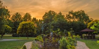 Да ги чуваме и негуваме боите на струмичкиот градски парк, велат од Showtime кои објавија ВИДЕО за неговите убавини !