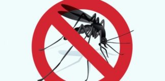 Од утре почнува второто прскање против комарци во Југоистокот, објавени датите и термините за секоја општина