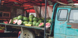 Приведен бостанџија од струмичко Баница – агресивно се однесувал кон полицајците во Штип
