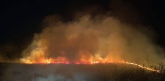 Голем пожар на Ташли Баир кај Едрениково-општина Василево, гори огромна површина сува трева
