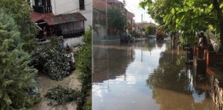 Невреме со дожд и ветар во Струмица, неколку улици поплавени и испокршени дрвја врз возила