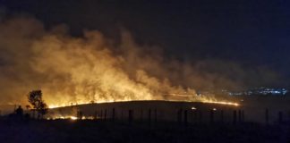 Јанев: Инсистирам да се открие како пожарот кај Едрениково избувна на повеќе места но и казна за сторителите