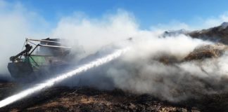 Зачестија пожарите на отворено, во Валандово гореа лозови и овошни насади, во Струмица пластеници со пипер кај Дабиле
