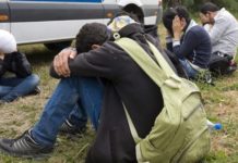 Во Гевгелија приведено едно лице – во возило „киа“ превезувал 10 мигранти од Египет и Мароко