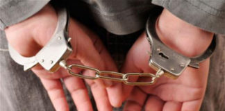 Кај струмичко Сушица уапсен бугарски државјанин со 2.000 кутии цигари