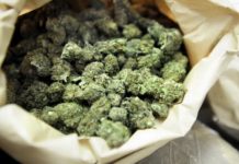 Приведен жител од Богданци – во неговиот дом полицијата пронашла 1,1 килограм марихуана