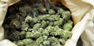 Приведен жител од струмичко Пиперево, при претрес на неговиот дом пронајдена марихуана