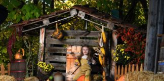 Златните бои на есента, предизвик за фото сесија со студиото Лили во Струмица